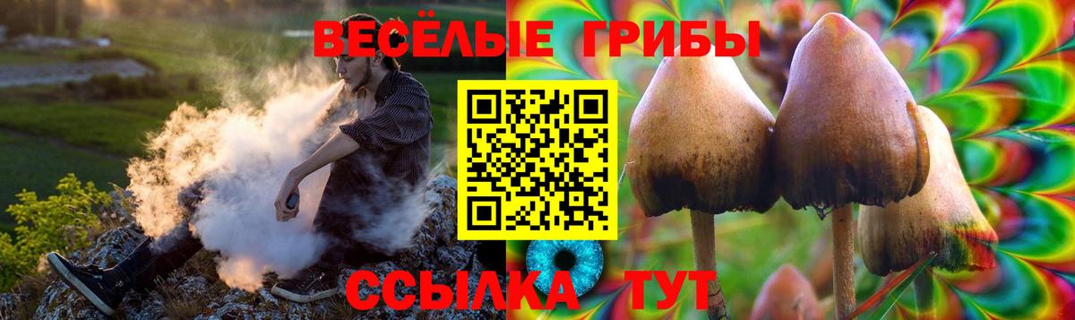 Богородицк  Псилоцибиновые грибы ЛСД  Вход с VPN 
