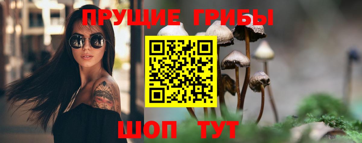 Псилоцибиновые грибы Cubensis Богородицк